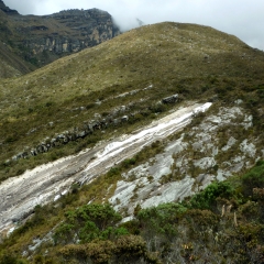 A stream flowing down a rock slab