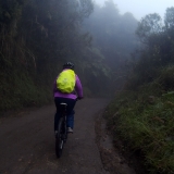 Drive up to Los Nevados and ride down to Manizales
