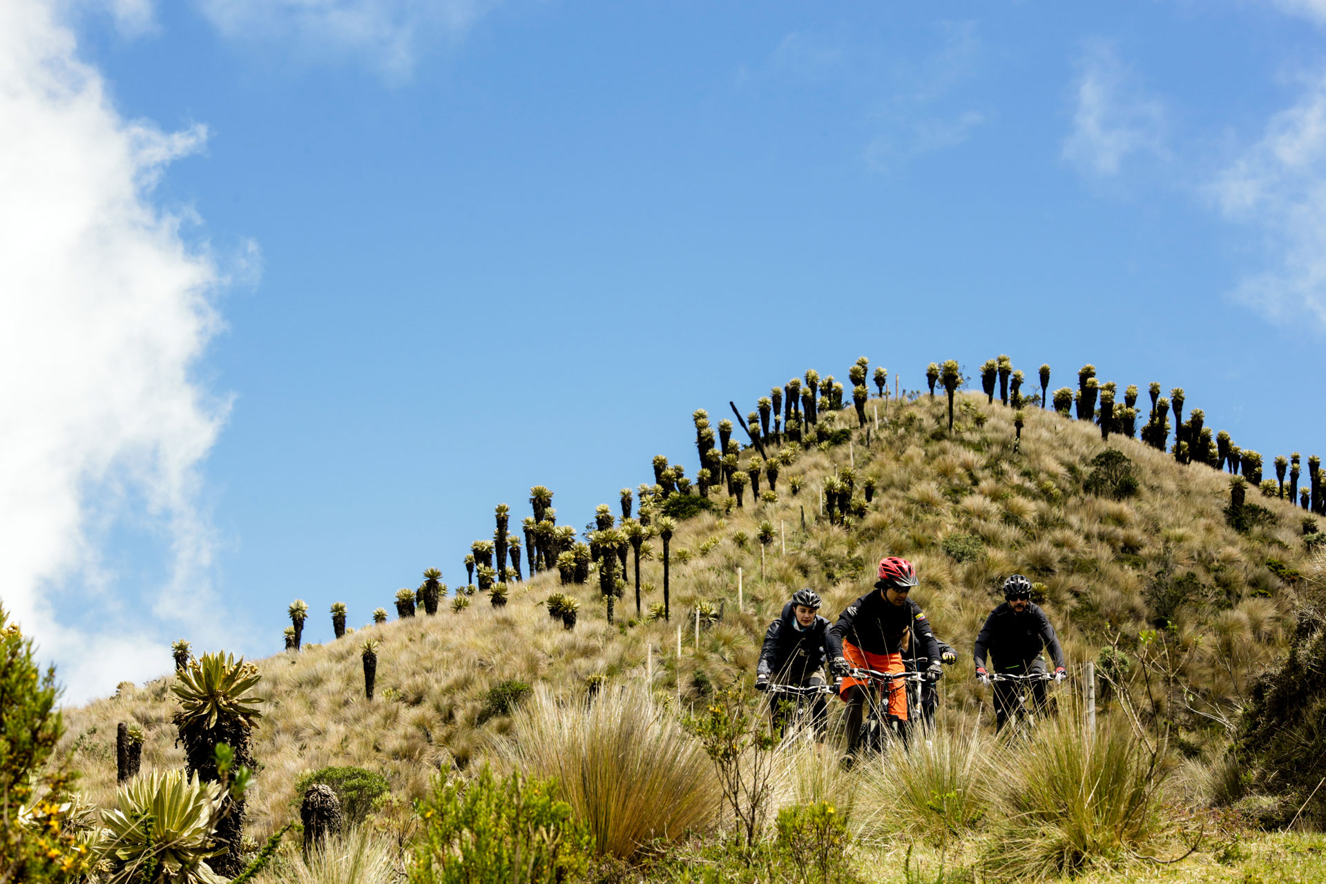 Los Nevados mountain biking day tour