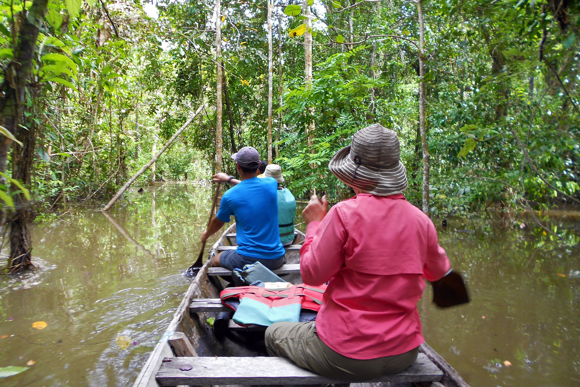 En canoa a través de la selva tropical