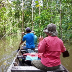 The Colombian Amazon