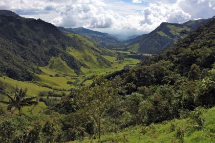 Cocora Valley: The star of Los Nevados