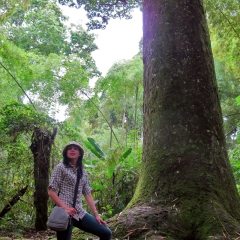 Explorando el Quindío