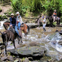 Stream crossing in Cocora Valley