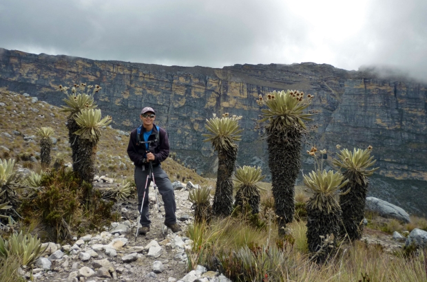 Caminado sobre el Páramo