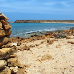 Costa de Punta Gallinas
