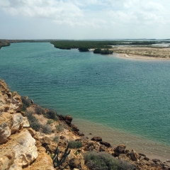 The view from Punta Aguja