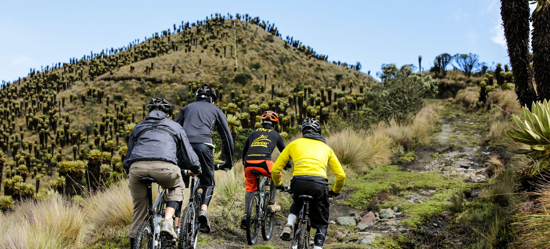 Los Nevados Mountain Biking Day Tour