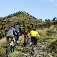 Tour de un Día en Bicicleta de Montaña en Los Nevados