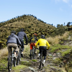 Los Nevados Mountain Biking Day Tour