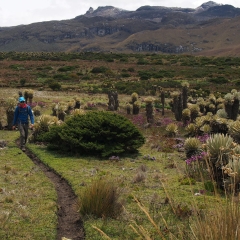 Caminando por el páramo