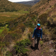 Caminando por el páramo con el Paramillo de Santa Rosa en el fondo