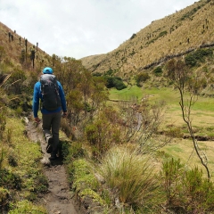 Hiking through the páramo