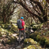 Otun Lake and the Paramo