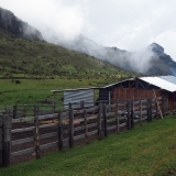 Día 1: Viaje por la Zona Cafetera