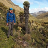 Tolima Volcano and the Cloud Forest