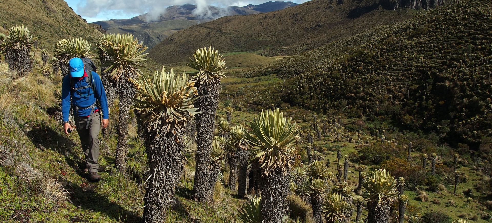 Los Nevados Traverse