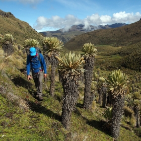 Travesía por Los Nevados