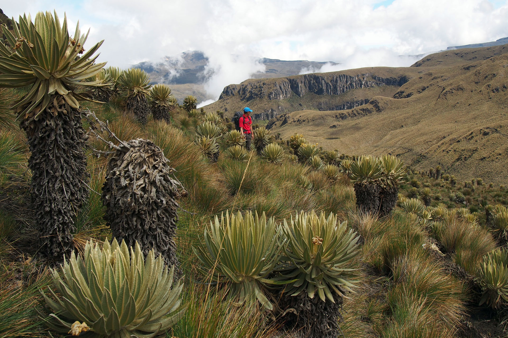 Los Nevados Traverse