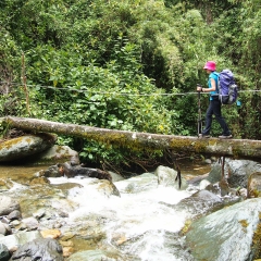 Cruzando un arroyo en el Valle del Cocora