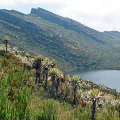 Lagunas de Siecha