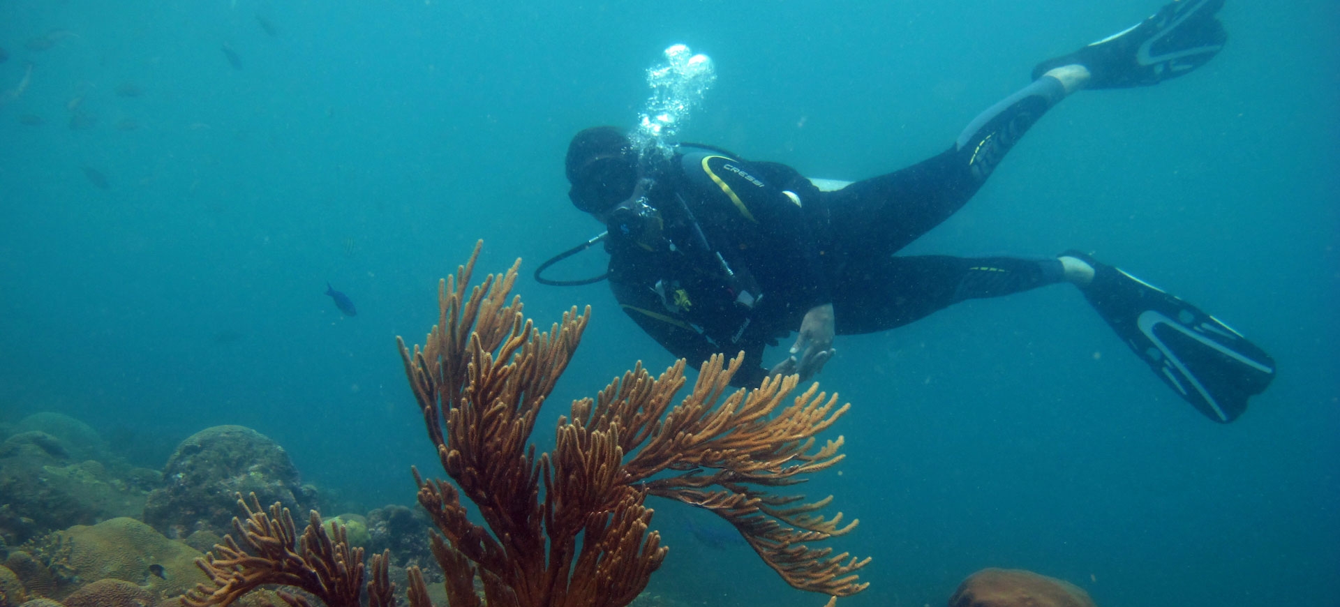 Día de Buceo en El Tayrona